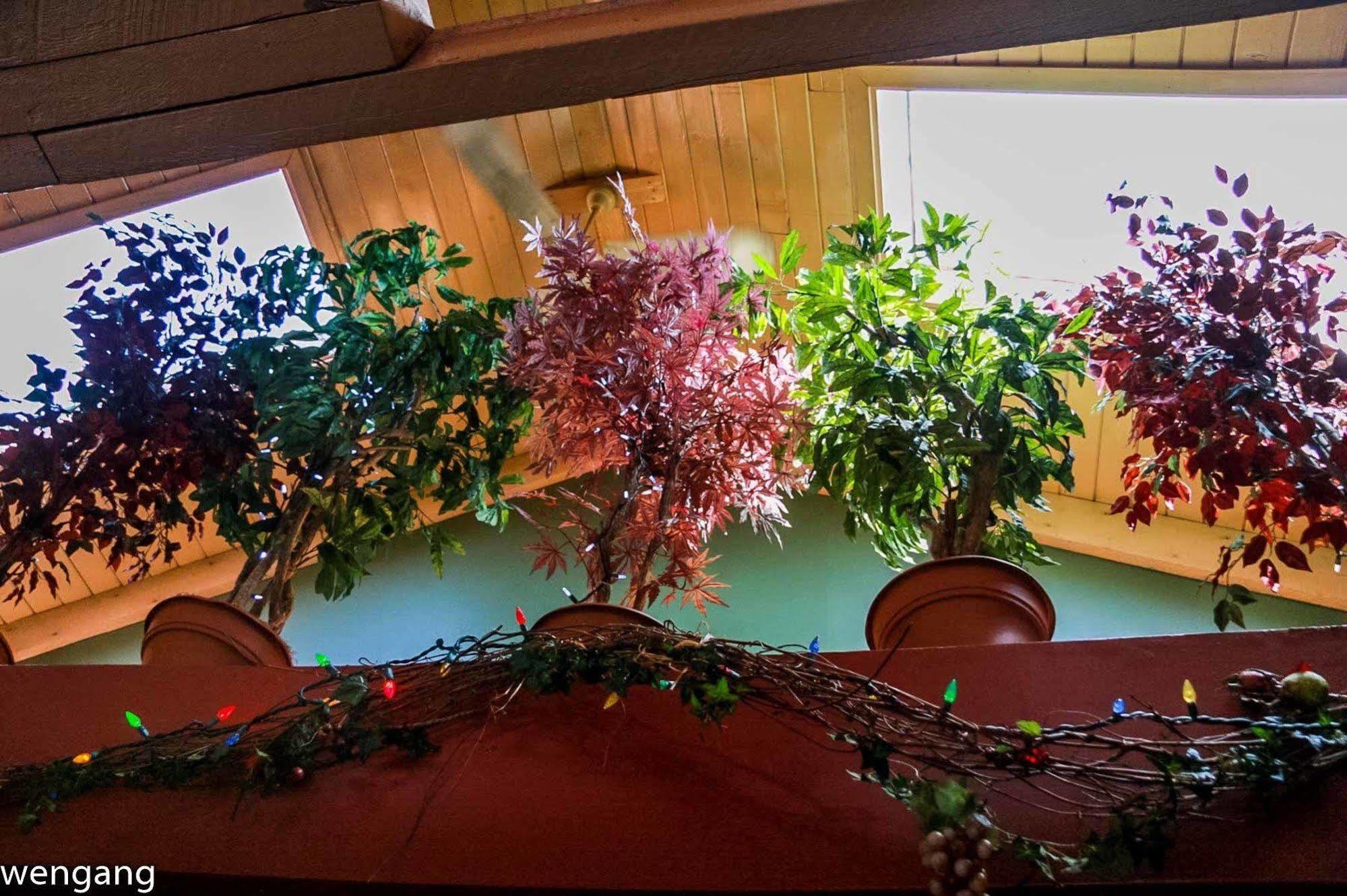 Nominingue Auberge Godard المظهر الخارجي الصورة